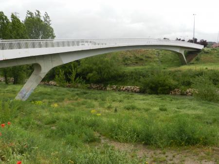 LAS RIBERAS DEL RÍO BERNESGA NECESITA DE ATENCIONES.