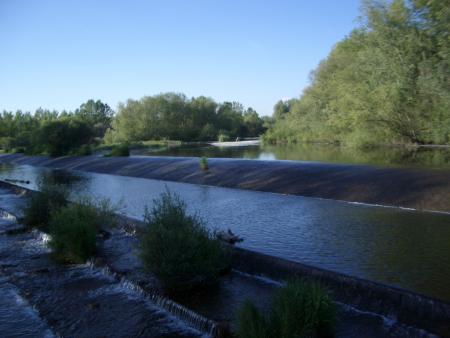 Re: Coto sardonedo para el miercoles santo 2012