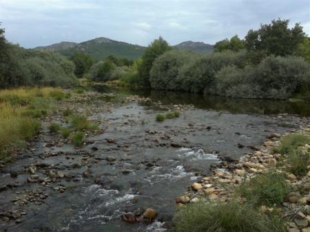 Eria, por mal camino