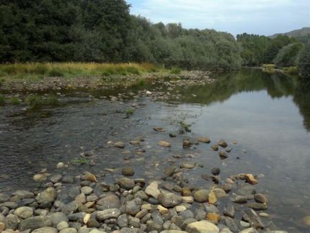 Eria, por mal camino