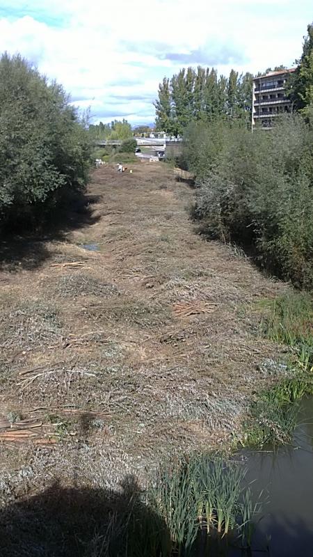 Re: El río de las sorpresas