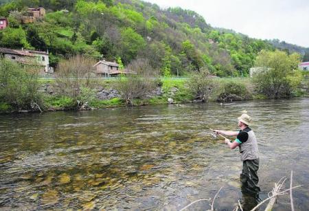 Asturias, más truchas meno cormoranes......