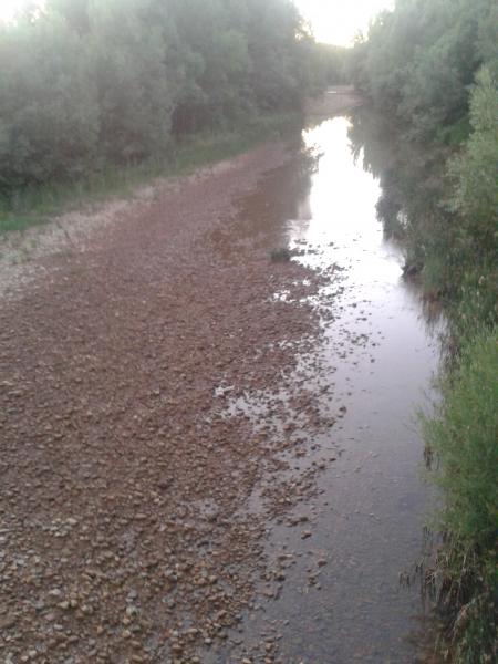 Re: Río Torío, una muerte confirmada