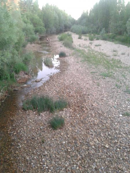Re: Río Torío, una muerte confirmada