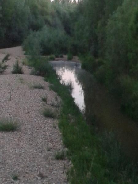 Re: Río Torío, una muerte confirmada