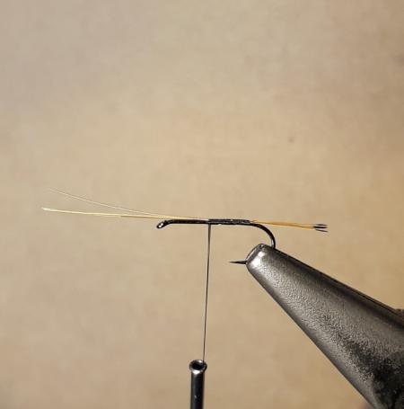 Royal Coachman...o como se escriba...a la Leonesa RRoyal