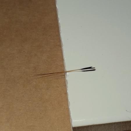 Royal Coachman...o como se escriba...a la Leonesa RRoyal