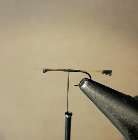 Royal Coachman...o como se escriba...a la Leonesa RRoyal