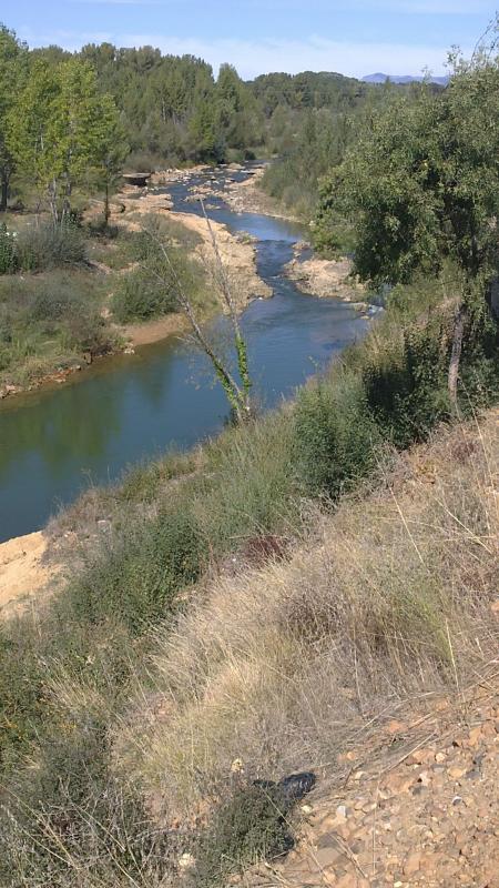 ¡Qué triste baja mi río.....!