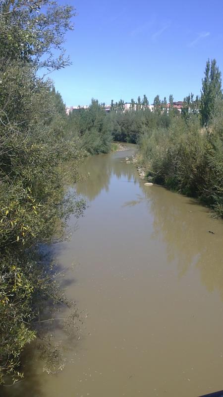 ¡Qué triste baja mi río.....!