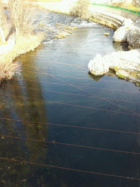 Re: DEFENSA PARA CORMORANES