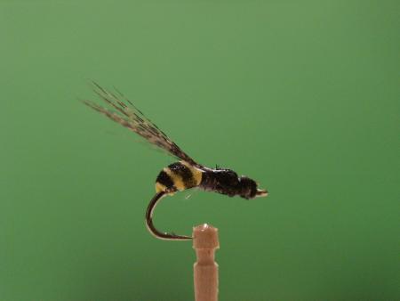 Re: Sección Montaje