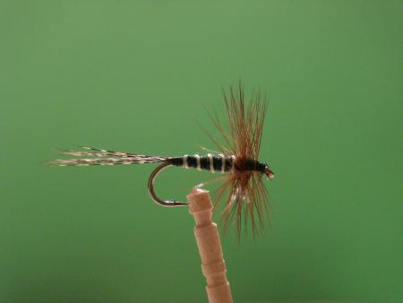 Re: Sección Montaje