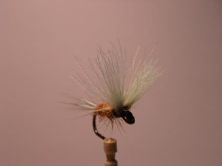 Re: Sección Montaje