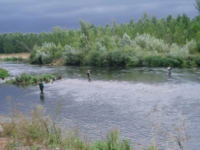 Se acabó la espera.........