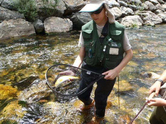 Re: Manipulación del pez con la red de la sacadera