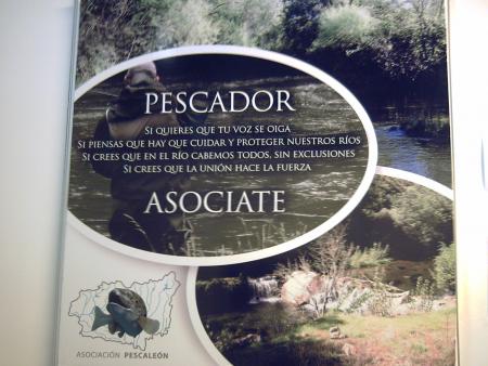 Re: Pescaleon, nosotros mismos