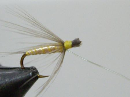 Re: Péagina de pesca