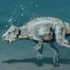 El Caracol manzana......