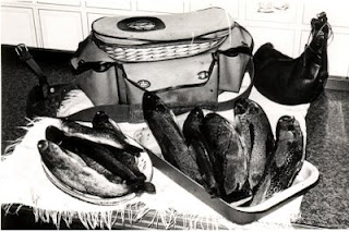 Re: Nogalani, Altocea y un Velero ( pasado, presente , futuro)