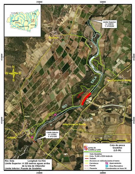 Re: El comedero de los cormoranes