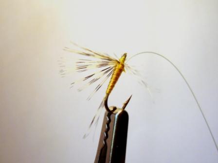 Re: Sección Montaje