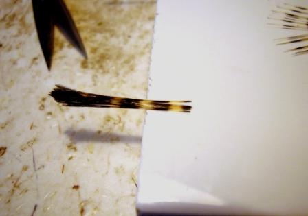 Re: Sección Montaje