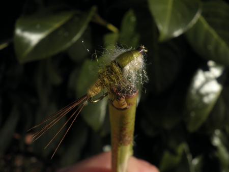 Re: Sección Montaje