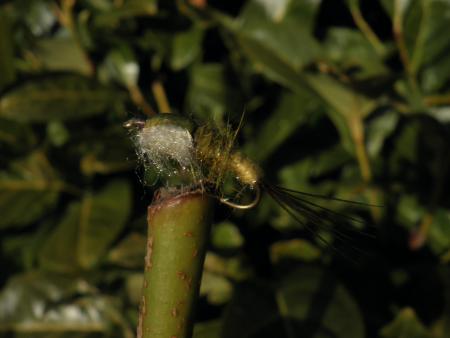 Re: Sección Montaje