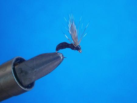 Re: Sección Montaje