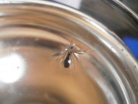 Re: Sección Montaje