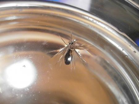 Re: Sección Montaje