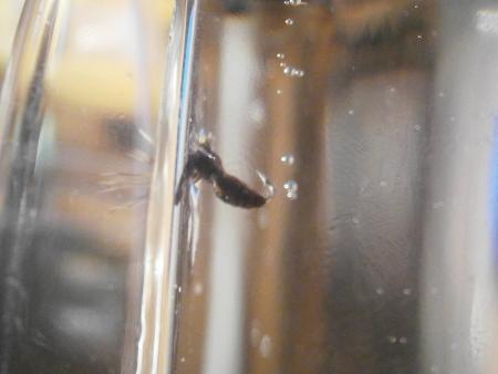 Re: Sección Montaje