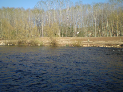 Re: Gradefes: Parte baja del Acotado