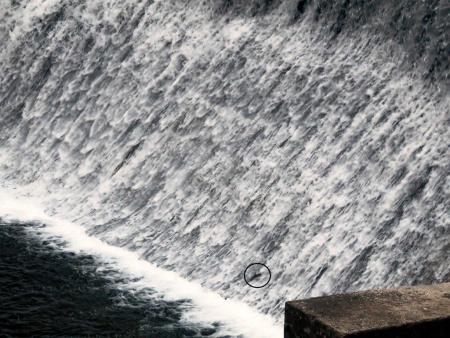 Remontes en el Torío