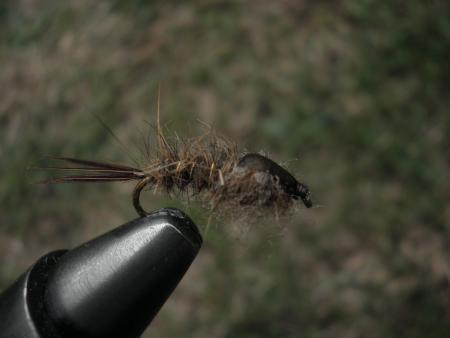 Re: Sección Montaje