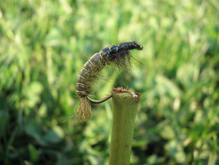 Re: Sección Montaje