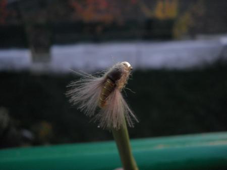 Re: Sección Montaje