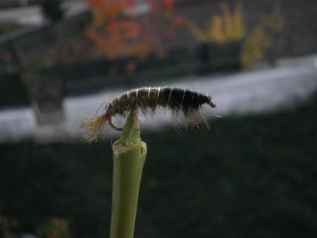 Re: Sección Montaje