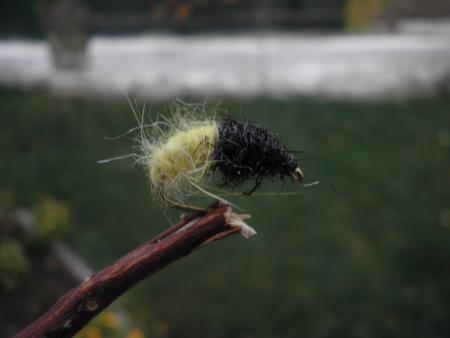 Re: Sección Montaje