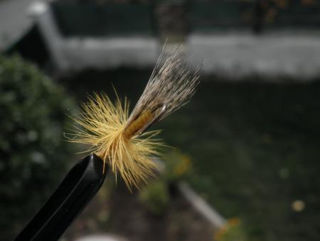 Re: Sección Montaje