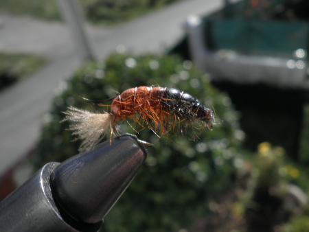 Re: Sección Montaje