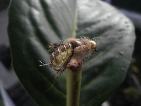 Re: Sección Montaje