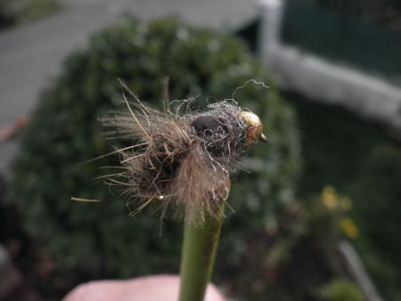 Re: Sección Montaje