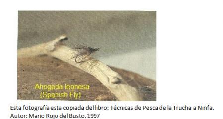 Presente y futuro de la Pesca a la Leonesa.