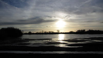 Un nuevo ciclo llega....vuelve el agua y con ella la vida.