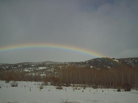 Re: Un nuevo ciclo llega....vuelve el agua y con ella la vida.