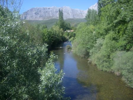 La misma Historia....pero diferente año.