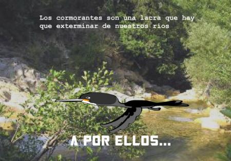 Re: Control de Cormoranes