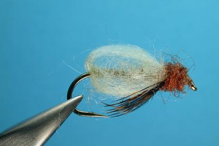 Ninfas flotantes, emergentes y derivas......